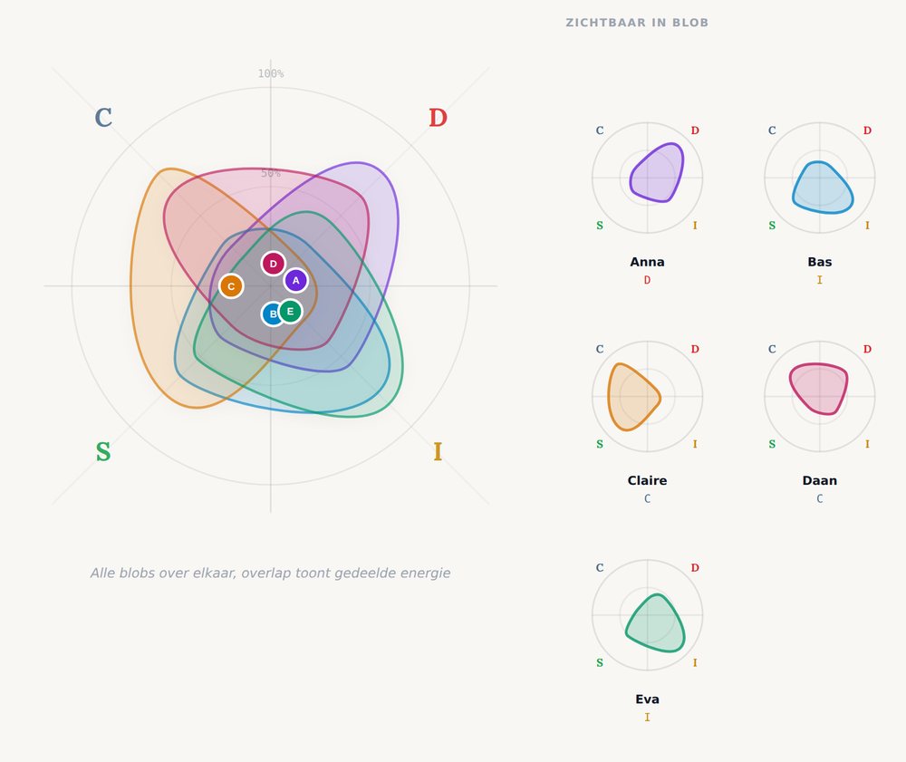 Voorbeeld van Newid Assessments: vijf persoonlijke DISC-profielen samen in een teambeeld